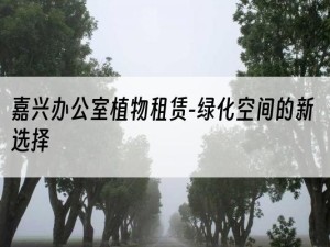 嘉兴办公室植物租赁-绿化空间的新选择