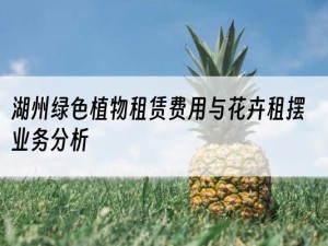 湖州绿色植物租赁费用与花卉租摆业务分析