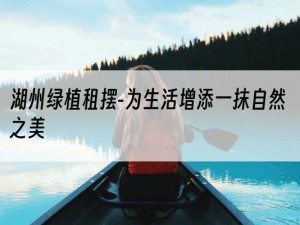 湖州绿植租摆-为生活增添一抹自然之美