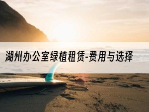 湖州办公室绿植租赁-费用与选择