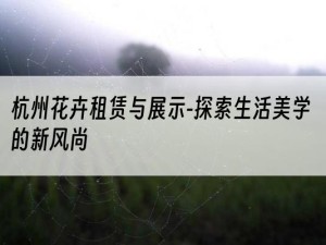 杭州花卉租赁与展示-探索生活美学的新风尚