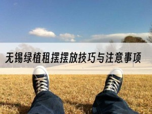 无锡绿植租摆摆放技巧与注意事项