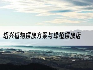 绍兴植物摆放方案与绿植摆放店