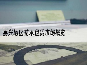 嘉兴地区花木租赁市场概览
