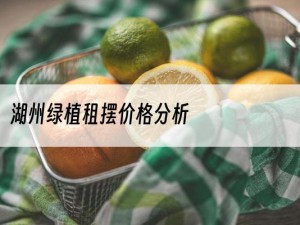 湖州绿植租摆价格分析