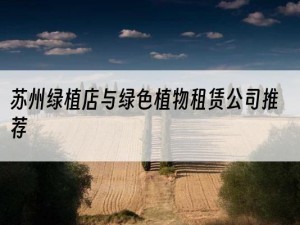 苏州绿植店与绿色植物租赁公司推荐