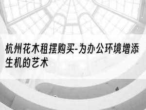 杭州花木租摆购买-为办公环境增添生机的艺术