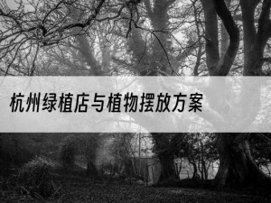 杭州绿植店与植物摆放方案
