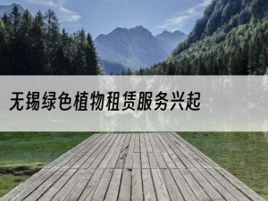 无锡绿色植物租赁服务兴起