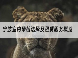 宁波室内绿植选择及租赁服务概览