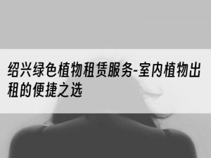 绍兴绿色植物租赁服务-室内植物出租的便捷之选