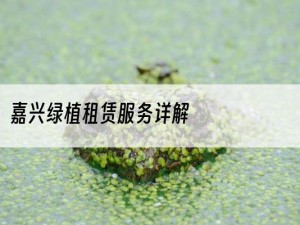 嘉兴绿植租赁服务详解
