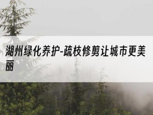 湖州绿化养护-疏枝修剪让城市更美丽