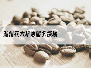 湖州花木租赁服务探秘