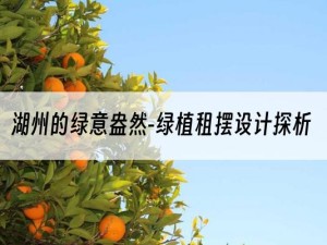 湖州的绿意盎然-绿植租摆设计探析