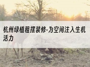 杭州绿植租摆装修-为空间注入生机活力