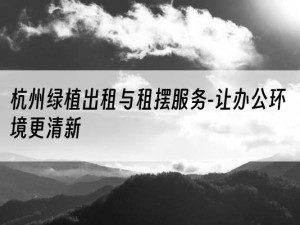 杭州绿植出租与租摆服务-让办公环境更清新