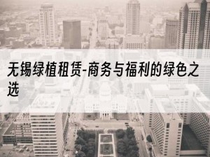 无锡绿植租赁-商务与福利的绿色之选