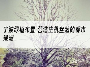 宁波绿植布置-营造生机盎然的都市绿洲