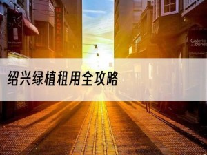 绍兴绿植租用全攻略