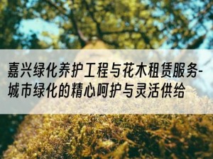 嘉兴绿化养护工程与花木租赁服务-城市绿化的精心呵护与灵活供给
