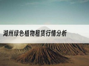 湖州绿色植物租赁行情分析