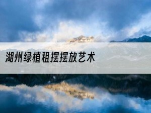 湖州绿植租摆摆放艺术
