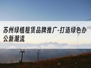 苏州绿植租赁品牌推广-打造绿色办公新潮流