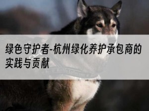 绿色守护者-杭州绿化养护承包商的实践与贡献