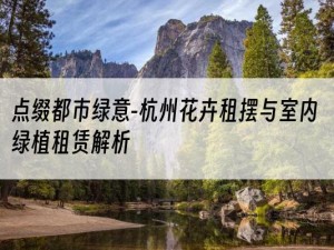 点缀都市绿意-杭州花卉租摆与室内绿植租赁解析