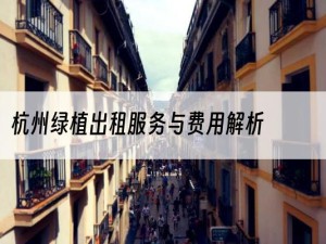 杭州绿植出租服务与费用解析