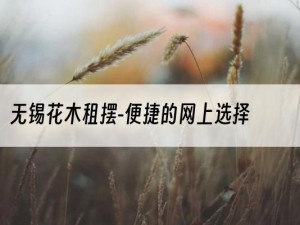 无锡花木租摆-便捷的网上选择