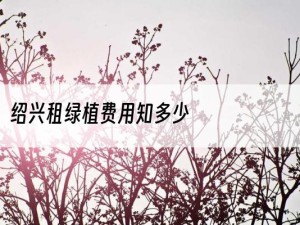 绍兴租绿植费用知多少
