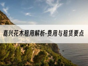 嘉兴花木租用解析-费用与租赁要点