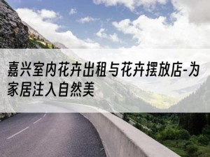 嘉兴室内花卉出租与花卉摆放店-为家居注入自然美