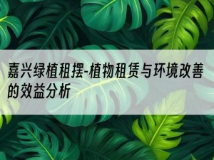 嘉兴绿植租摆-植物租赁与环境改善的效益分析