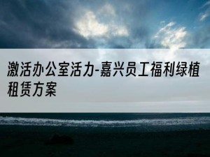 激活办公室活力-嘉兴员工福利绿植租赁方案