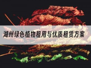 湖州绿色植物租用与优质租赁方案