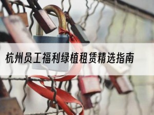 杭州员工福利绿植租赁精选指南