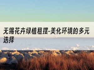 无锡花卉绿植租摆-美化环境的多元选择