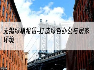 无锡绿植租赁-打造绿色办公与居家环境