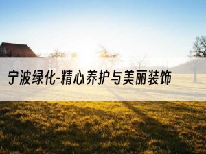 宁波绿化-精心养护与美丽装饰