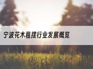 宁波花木租摆行业发展概览