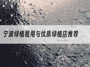 宁波绿植租用与优质绿植店推荐