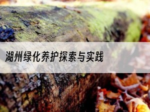 湖州绿化养护探索与实践