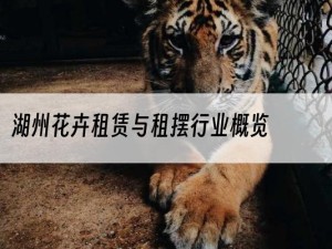 湖州花卉租赁与租摆行业概览