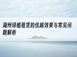 湖州绿植租赁的优越效果与常见问题解析