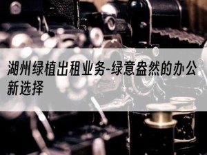 湖州绿植出租业务-绿意盎然的办公新选择