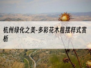 杭州绿化之美-多彩花木租摆样式赏析