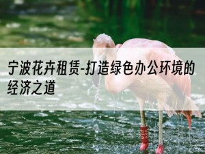宁波花卉租赁-打造绿色办公环境的经济之道